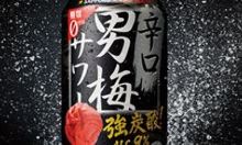 Otoko Ume Sour