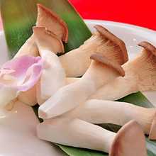 King Oyster Mushroom