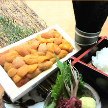 Raw sea urchin