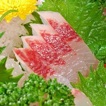 Sashimi