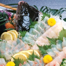 Live olive flounder sashimi