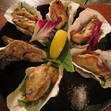 Oysters