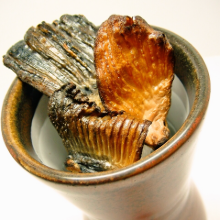 Sake Flavored with Grilled Puffer Fish Fins