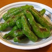 Shishito green pepper