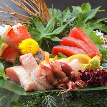 Sashimi