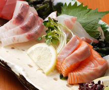 Sashimi Sashimi