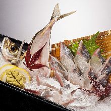 Live horse mackerel sashimi