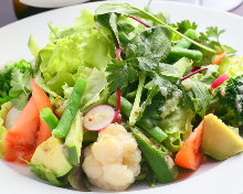 Vegetable salad