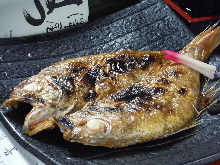 Salt roasted rosy seabass