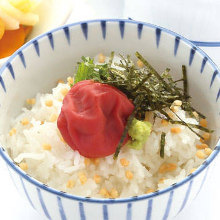 Ume chazuke (plum and rice with tea)