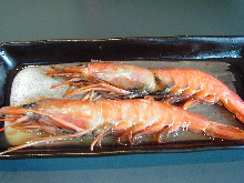 Botan shrimp sashimi