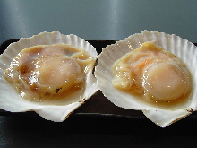 Scallops Scallops