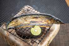 Charcoal grilled pacific saury
