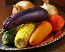 Grilled / sauteed vegetables