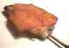 Chicken wing tips Chicken wing tips