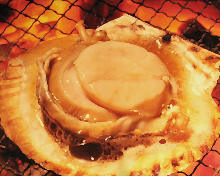 Grilled scallop with butter