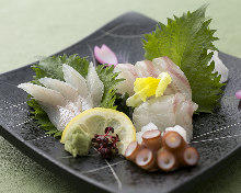 Sashimi Sashimi