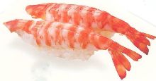 Shrimp