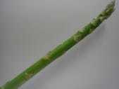Fried asparagus skewer