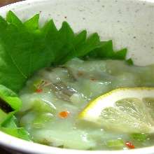 Wasabi octopus Wasabi octopus