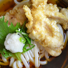 Wheat noodles with tempura