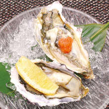 Raw oyster