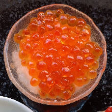 Ikura(salmon roe)