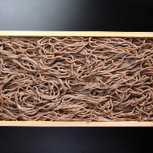 Buckwheat noodles