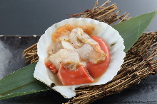 Scallop