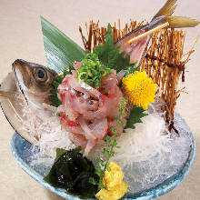 Live horse mackerel sashimi