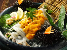 Squid sugata-zukuri (sliced sashimi served maintaining the look of the whole squid)