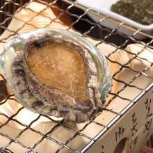 Abalone (sashimi or seared)