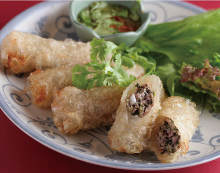 Spring roll