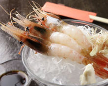 Botan shrimp sashimi