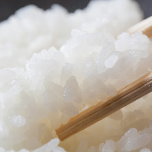 Rice Rice
