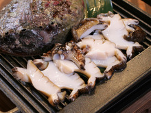 Abalone steak / grilled abalone