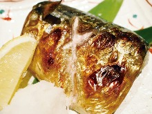 Salted and grilled mackerel