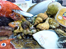 Assorted sashimi, 5 kinds Assorted sashimi, 5 kinds