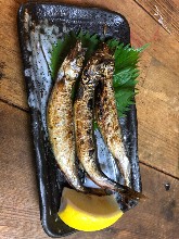 Seared shishamo smelt