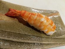 Shrimp Shrimp