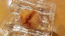 Ark shell Ark shell