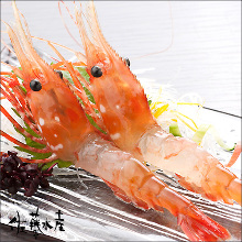 Botan shrimp sashimi