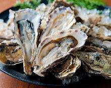 Oysters