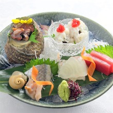 Assorted sashimi of the season