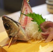 Live horse mackerel sashimi