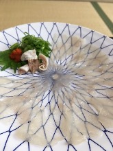 Thinly sliced pufferfish sashimi