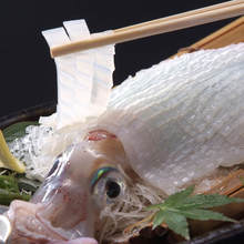 Squid sashimi