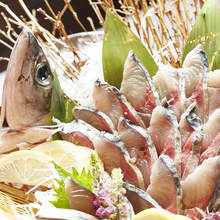 Live mackerel sashimi