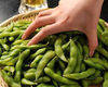 Edamame beans
