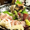 Assorted 5 Kinds of Sashimi